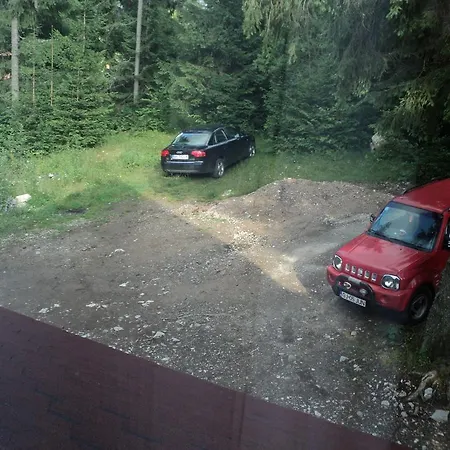 Guest house Suvenirurilor