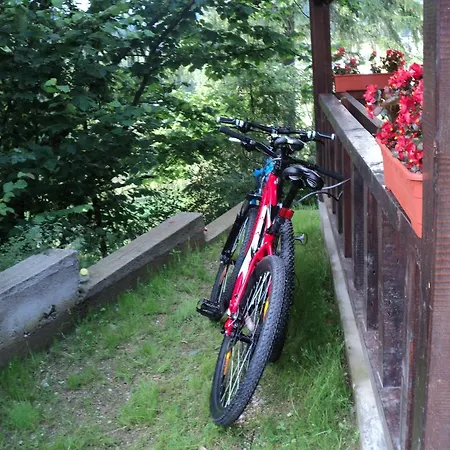 Suvenirurilor 3*