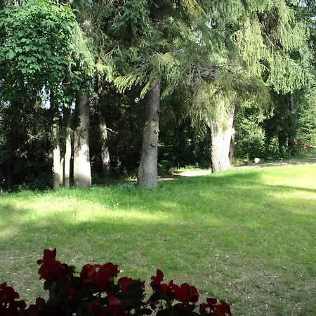 Suvenirurilor 3*