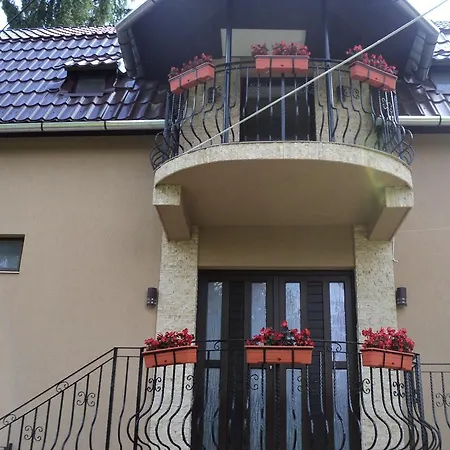 Suvenirurilor Guest house