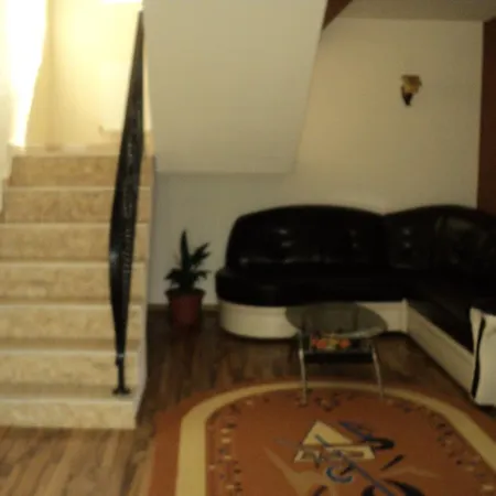 Suvenirurilor Guest house 3*