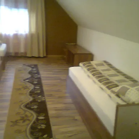 Guest house Suvenirurilor 3*