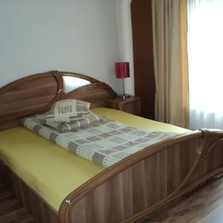 Suvenirurilor Guest house 3*