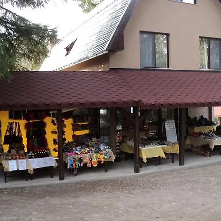 Guest house Suvenirurilor