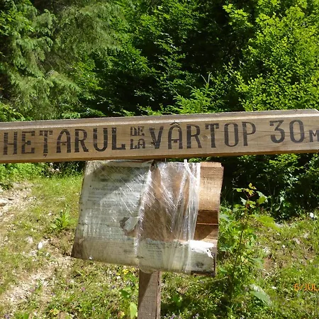 Suvenirurilor