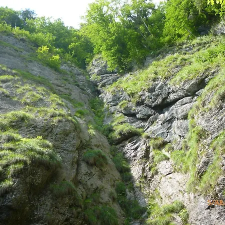 Suvenirurilor Scarisoara (Alba)