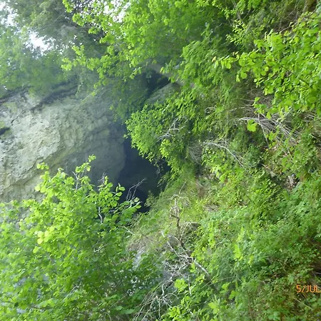 Suvenirurilor Scarisoara (Alba)